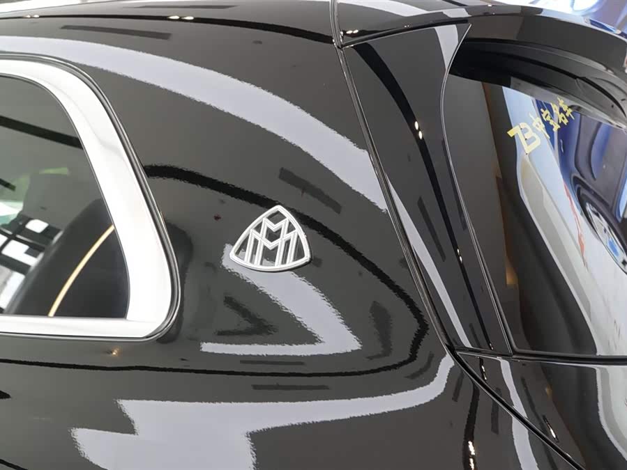 Mercedes-Benz Maybach GLS car image #8