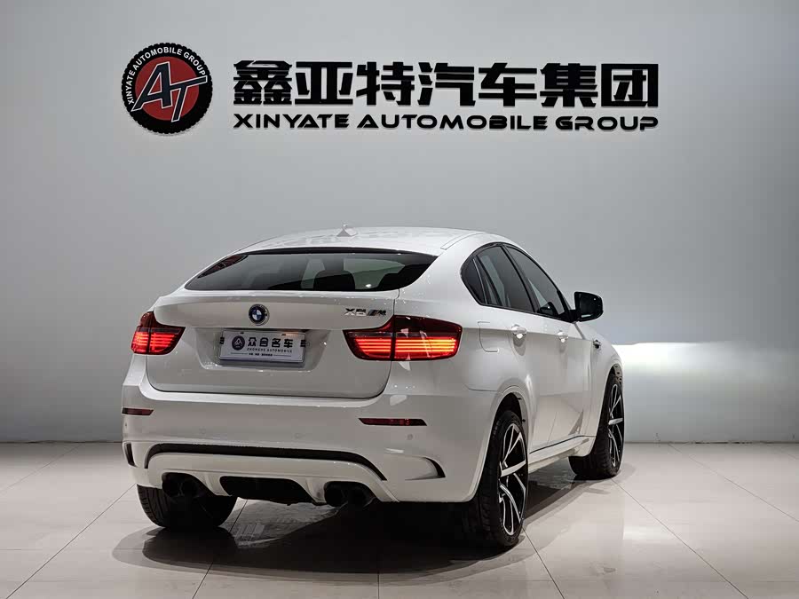 BMW X6 M 2010 #8 BMW X6 M 2010 immagine di auto #8
