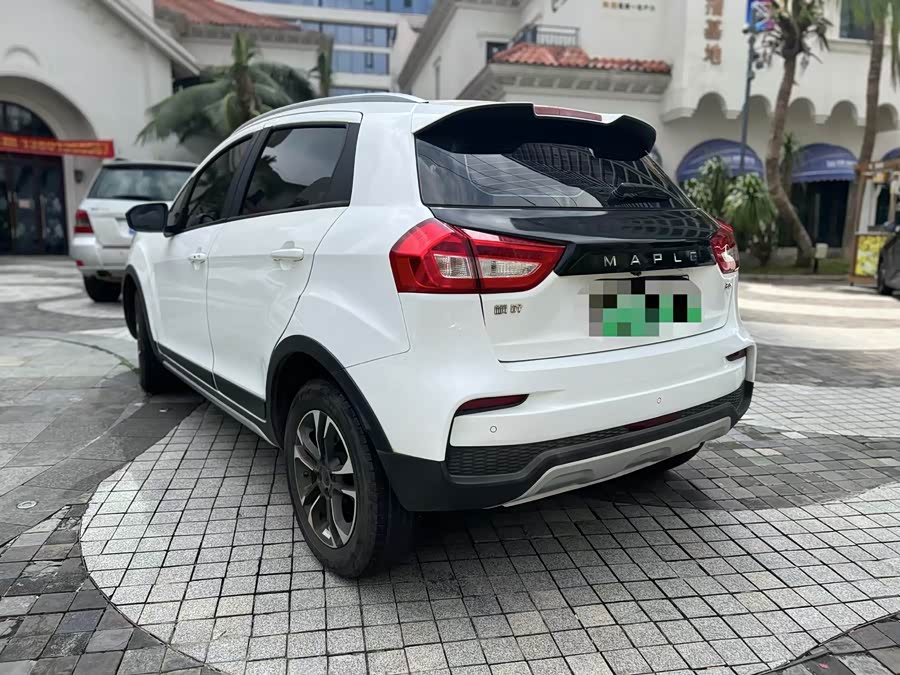 睿蓝汽车 枫叶30X 2020 汽车图片 #8