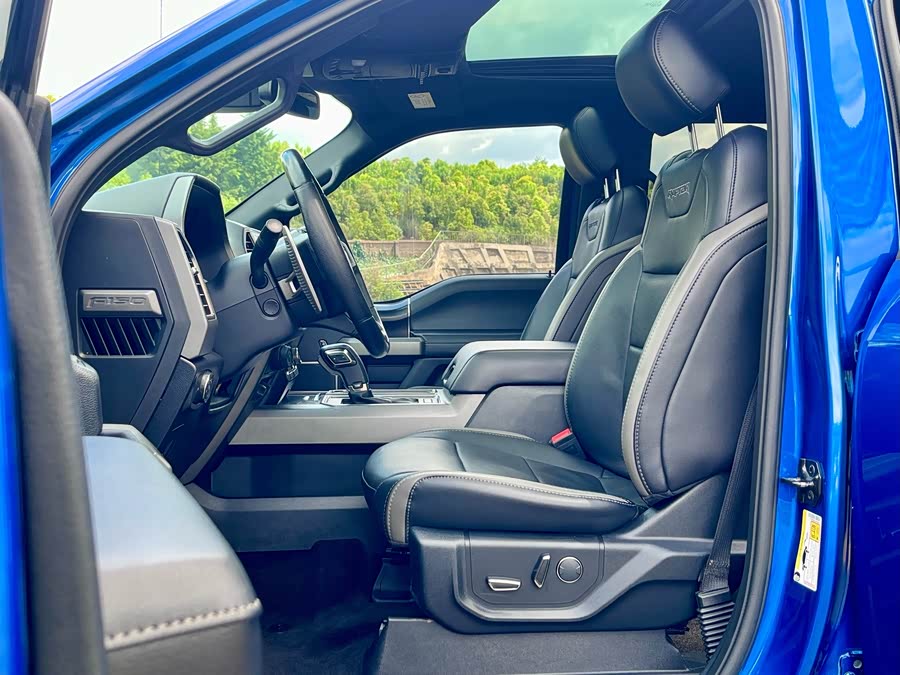 Ford F-150 Raptor 2018 car image #8