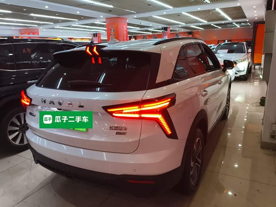 Haval Fierce Dragon 2024 car image #8