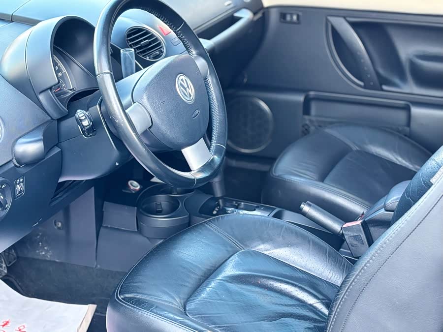 Volkswagen Beetle 2009 immagine di auto #8