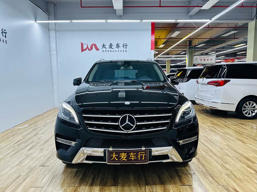 Mercedes-Benz M Class 2015 car image #8