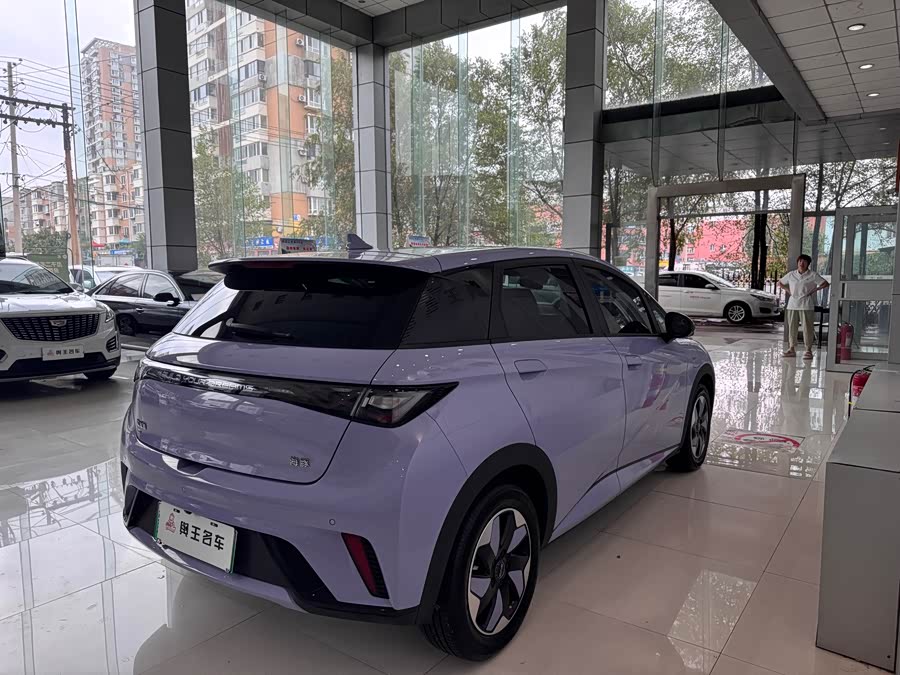 BYD Dolphin 2024 صورة سيارة #8