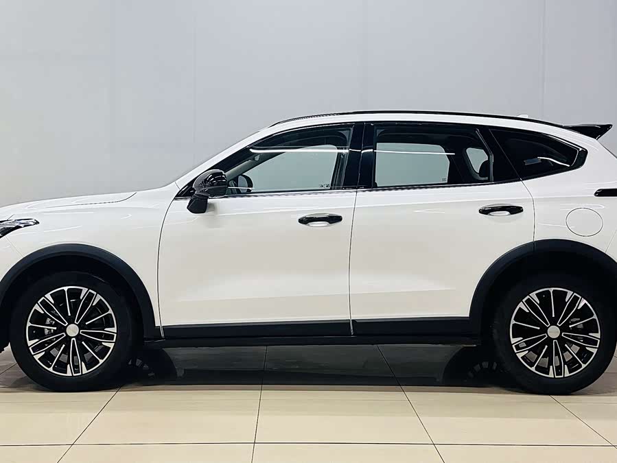 Haval Rabbit 2024 car image #8