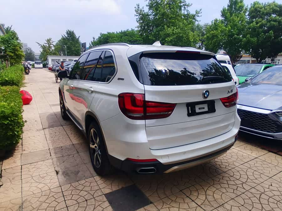 BMW X5 New Energy (Imported) 2017 immagine di auto #8