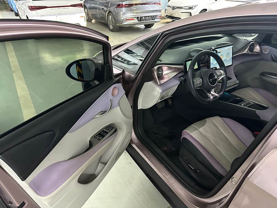 BYD Dolphin 2023 imagem de carro #8