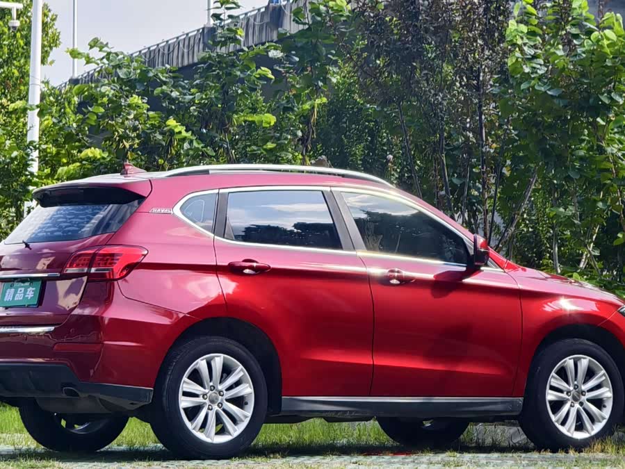 Haval H2 2014 immagine di auto #8