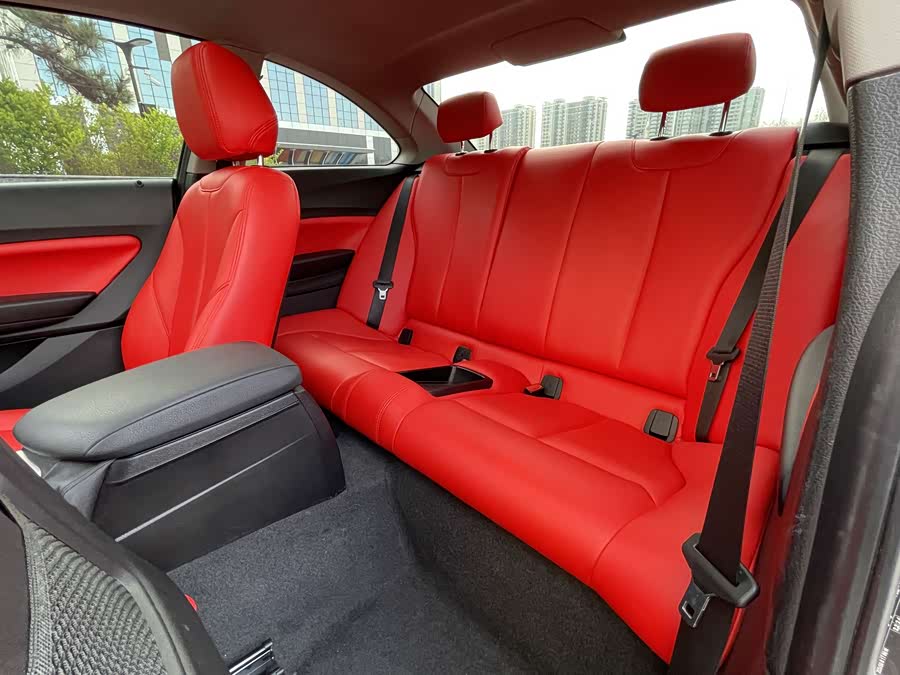 BMW 2 Series (Imported) 2017 car image #8