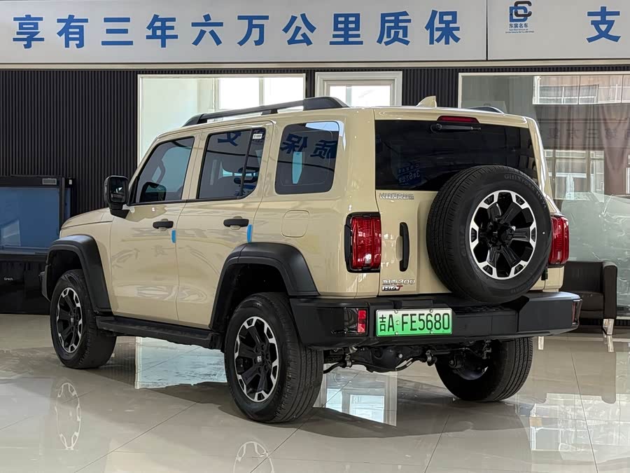 Tank 300 New Energy 2025 #8 Tank 300 New Energy 2025 car image #8