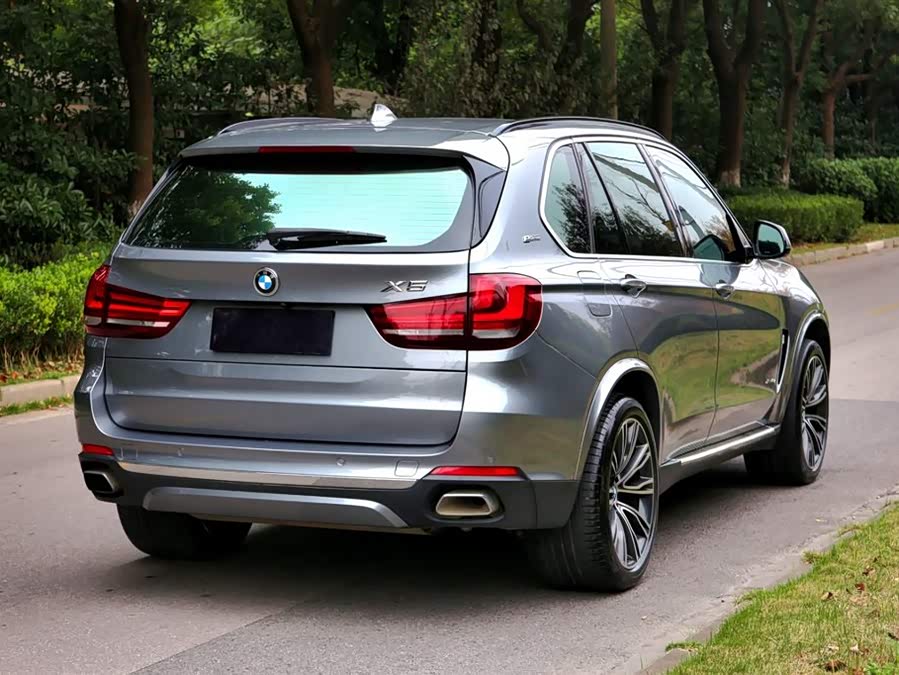 BMW X5 New Energy (Imported) 2018 car image #8