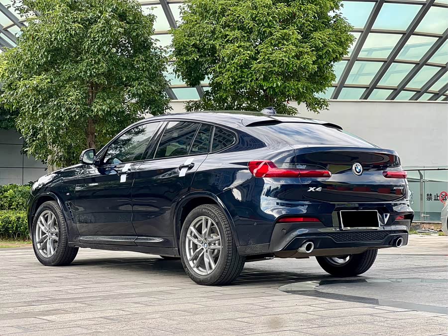 BMW X4 2020 car image #8