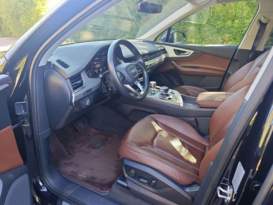 Audi Q7 New Energy 2019 car image #8