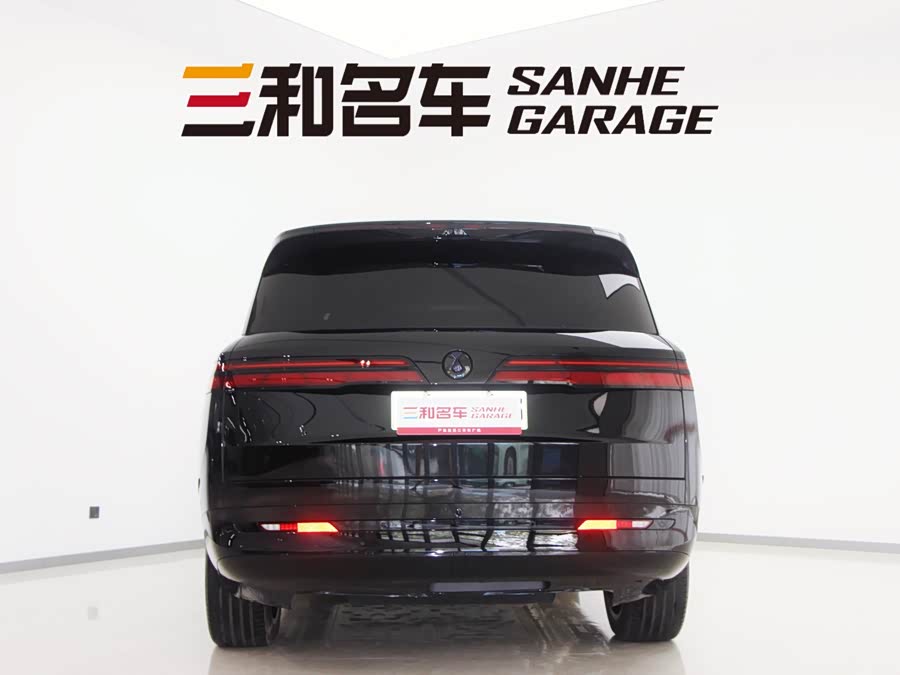 Denza N9 2025 immagine di auto #8