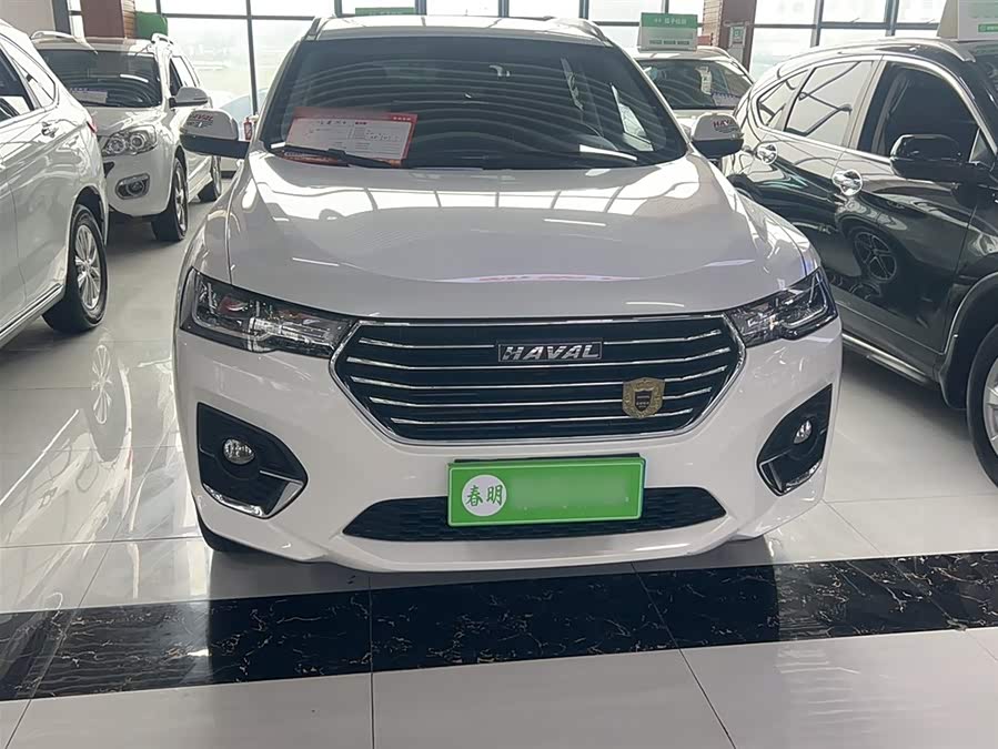 Haval H4 2020 immagine di auto #8