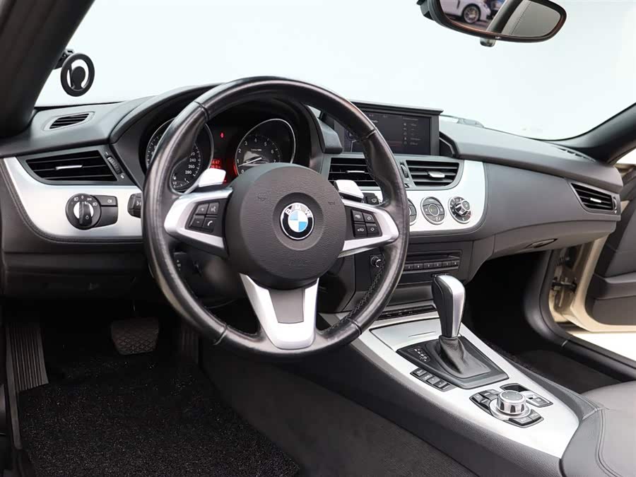 BMW Z4 2010 car image #8