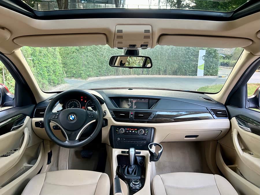 BMW X1 (Imported) 2010 car image #8