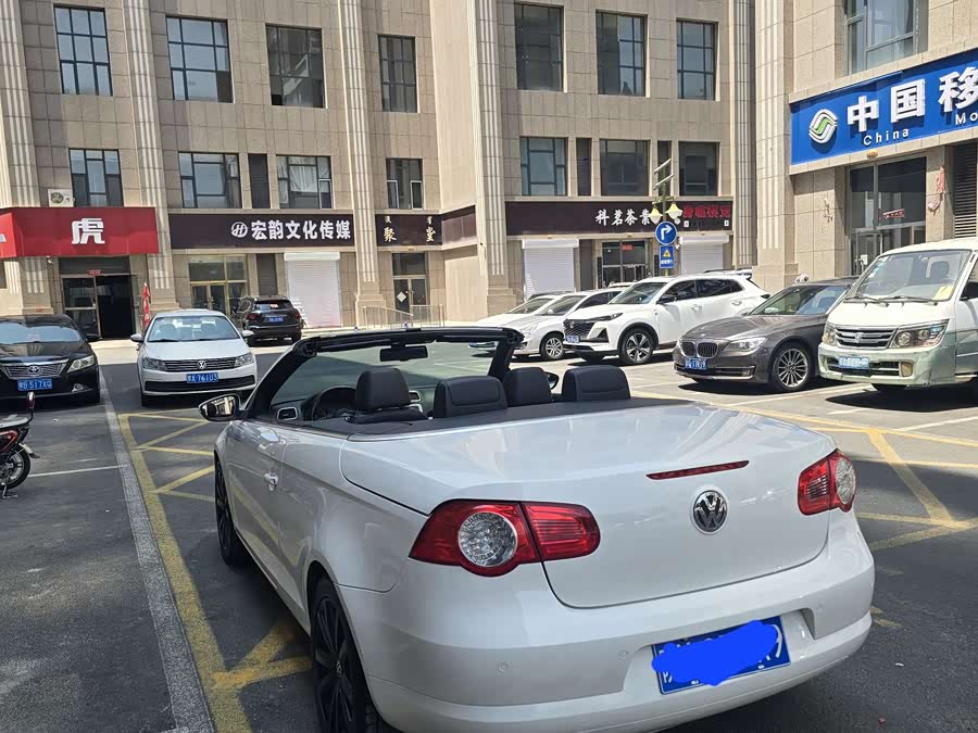 Volkswagen Eos 2010 #8 Volkswagen Eos 2010 immagine di auto #8