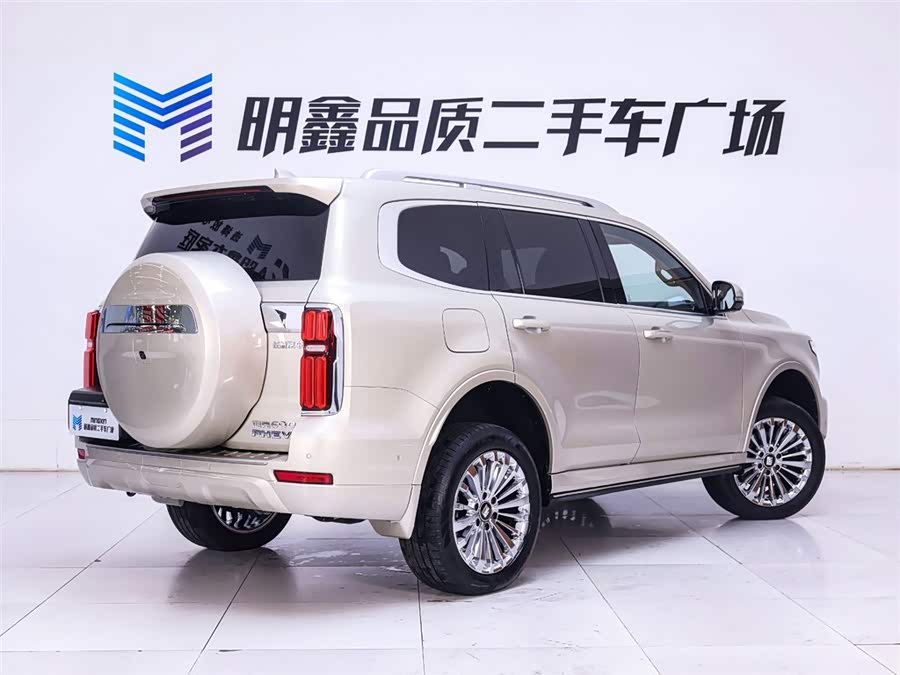 Tank 500 New Energy 2023 car image #8