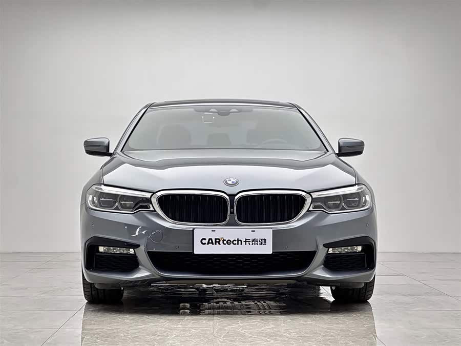 BMW 5 Series (Imported) 2018 car image #8
