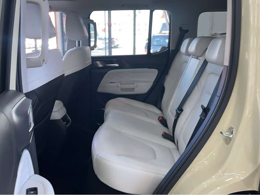 Tank 300 New Energy 2025 car image #8