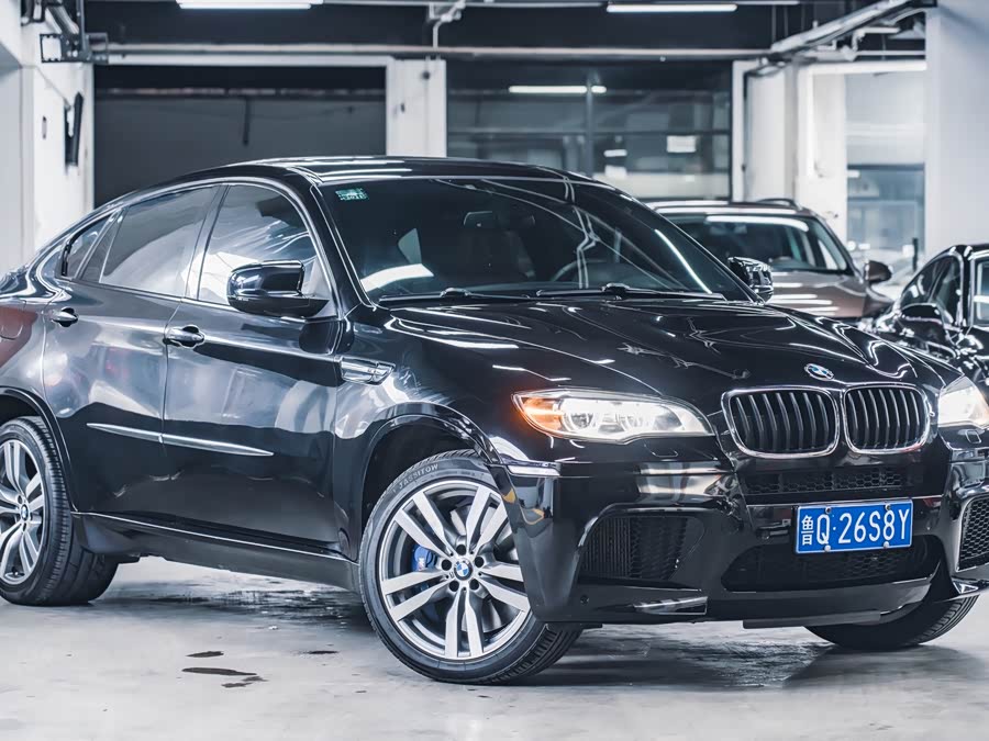 BMW X6 M 2013 car image #8