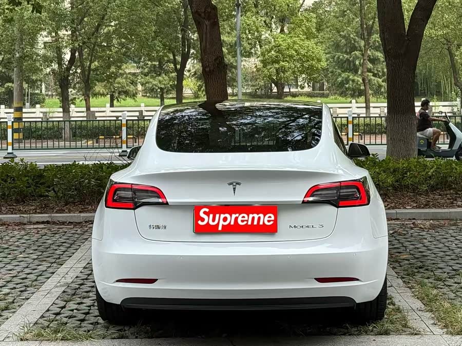 特斯拉 Model 3 2021 汽车图片 #8