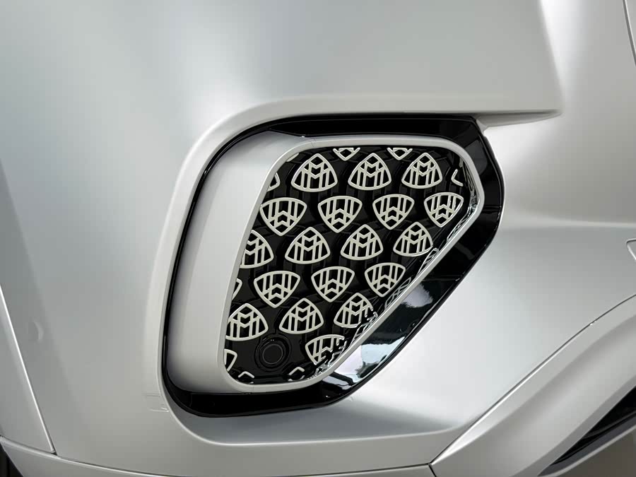 Mercedes-Benz Maybach GLS 2021 imagen de coche #8