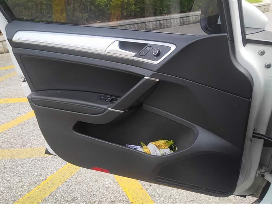 大众 高尔夫·纯电 2021 汽车图片 #8