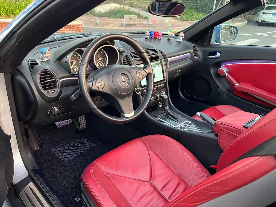 Mercedes-Benz SLK Class 2008 car image #8