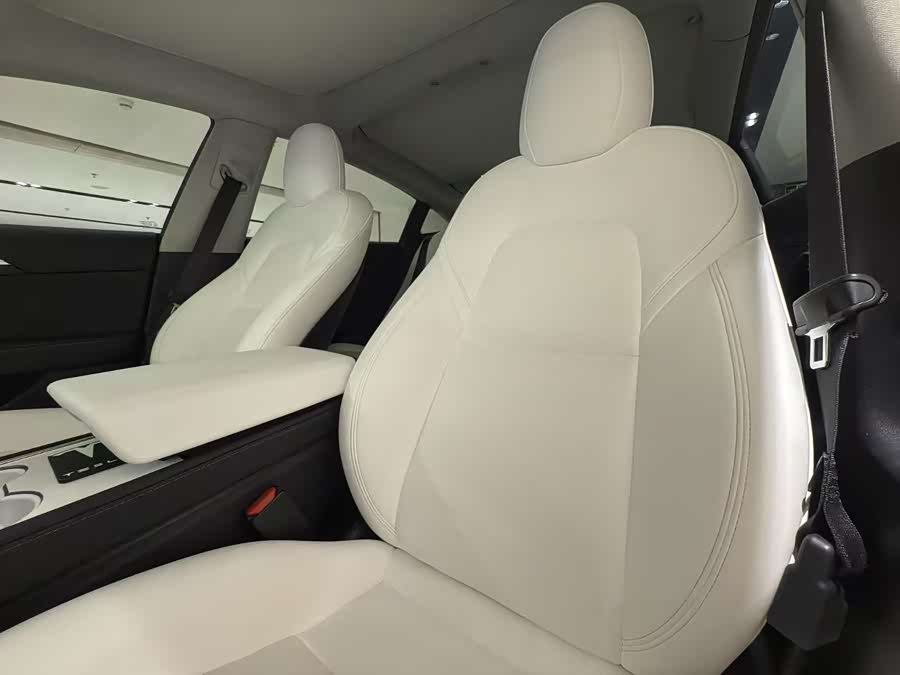 Tesla Model 3 2021 #8 Tesla Model 3 2021 صورة سيارة #8