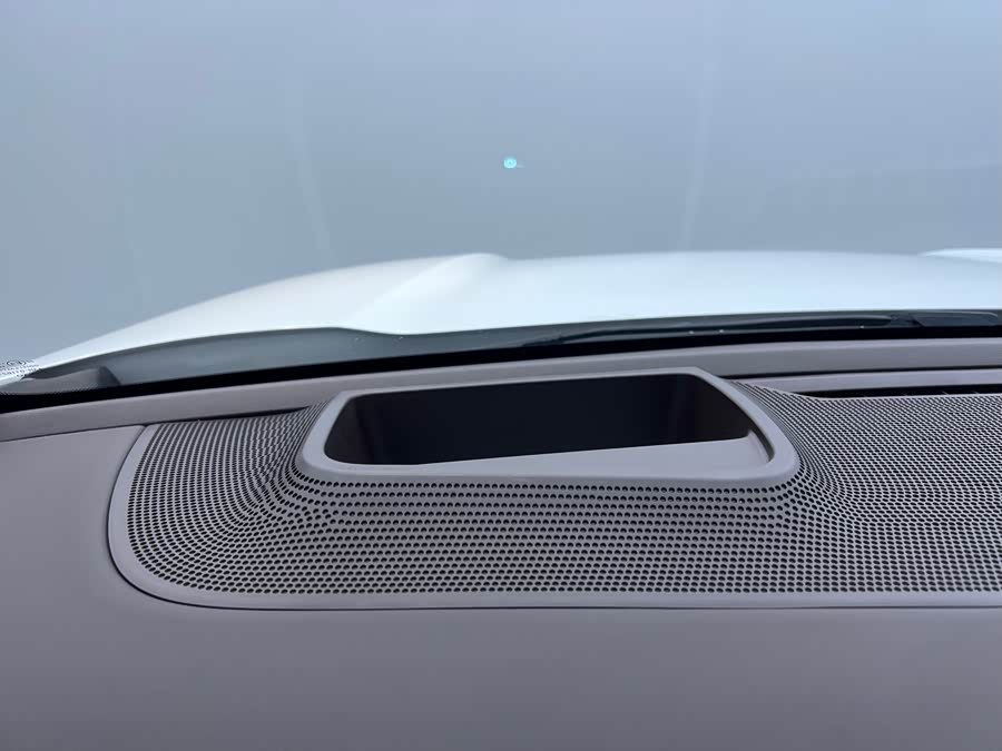 Tank 500 New Energy 2023 immagine di auto #8