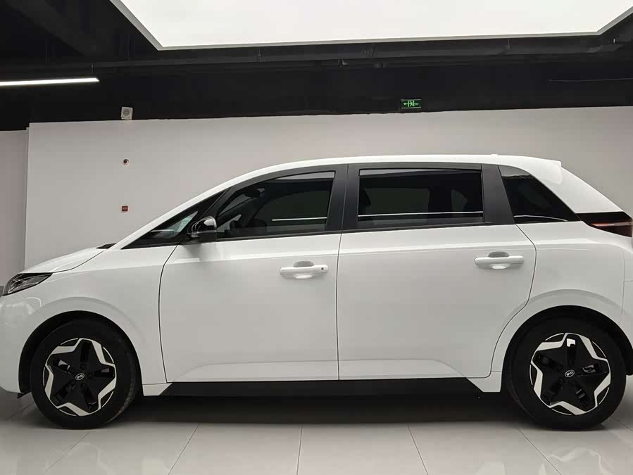 BYD D1 2023 immagine di auto #8