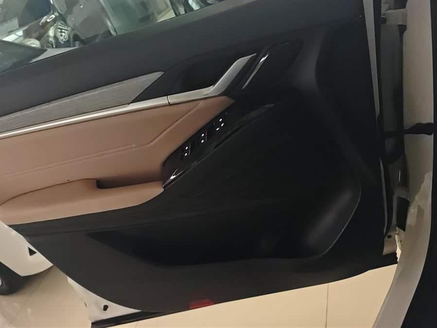 JAC QX PHEV 2023 car image #8