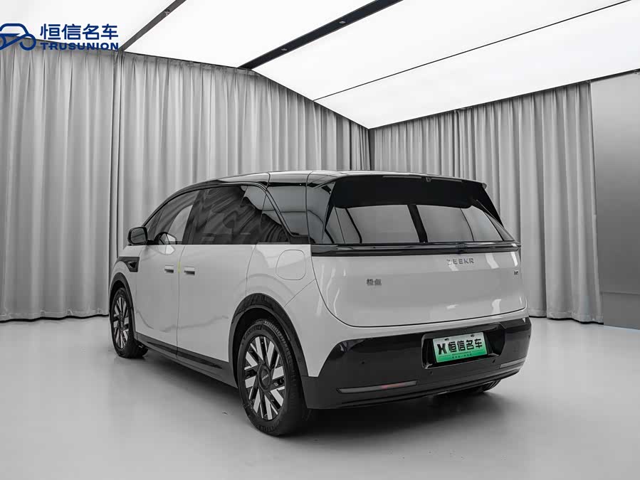 极氪 极氪MIX 2024 汽车图片 #8