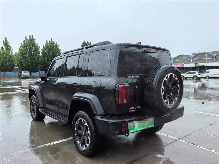 Tank 300 New Energy 2025 car image #8