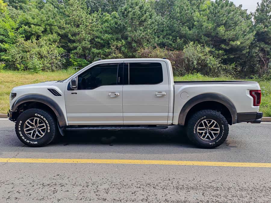 Ford F-150 Raptor 2018 car image #8