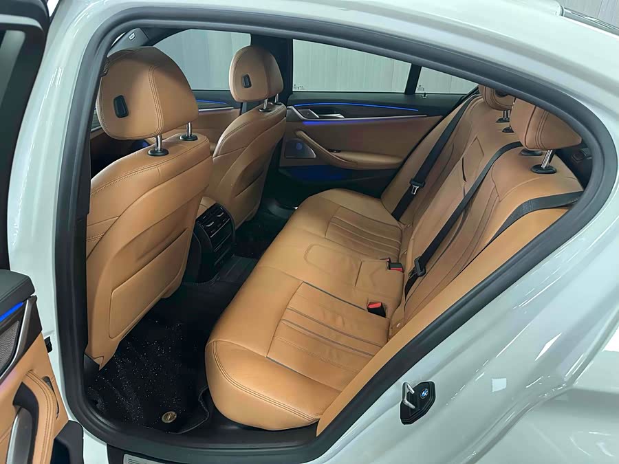 BMW 5 Series (Imported) 2019 #8 BMW 5 Series (Imported) 2019 car image #8