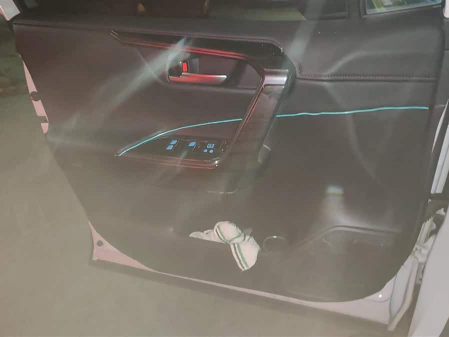 Toyota Wildlander New Energy 2021 immagine di auto #8