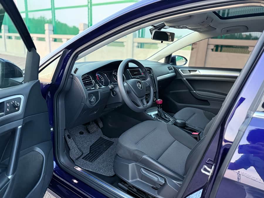 Volkswagen Golf Pure Electric 2020 car image #8