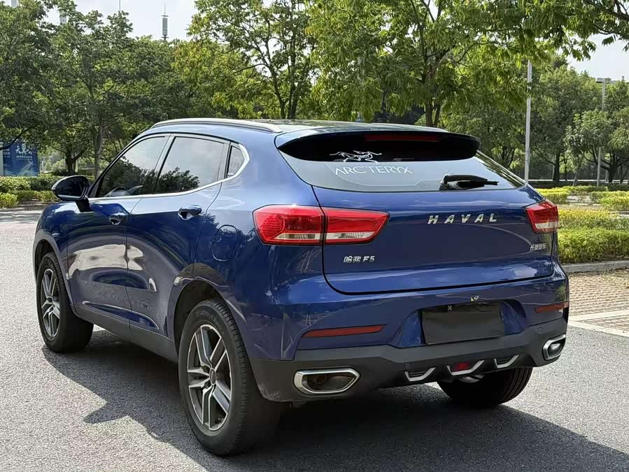 Haval F5 2020 #8 Haval F5 2020 car image #8