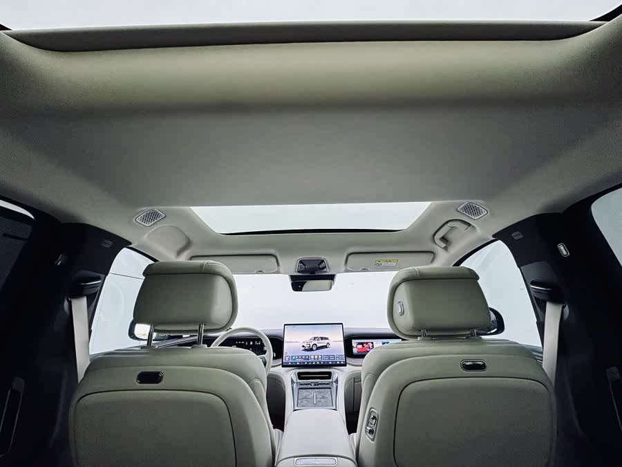 Denza N9 2025 car image #8