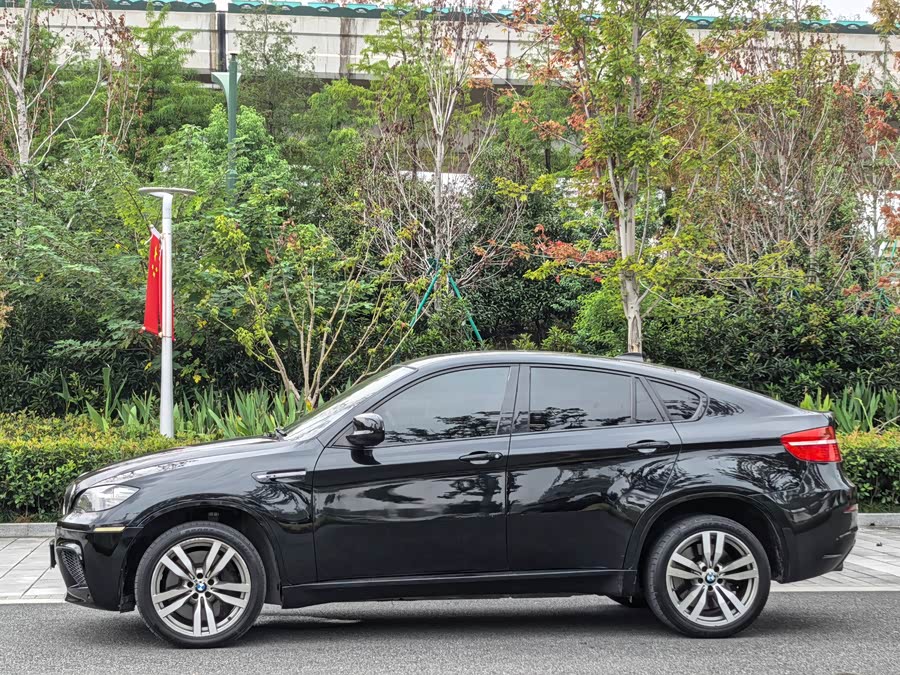 BMW X6 M 2011 car image #8