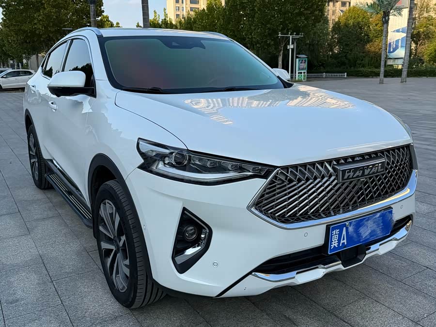 哈弗 哈弗F7x 2021 汽车图片 #8