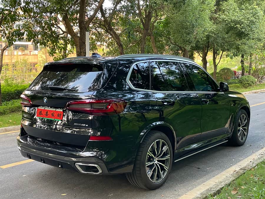 BMW X5 New Energy (Imported) 2021 car image #8