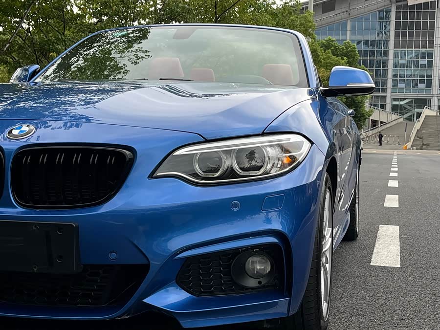 BMW 2 Series (Imported) 2016 car image #8