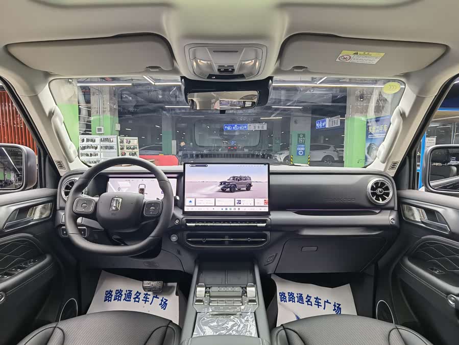 Tank 300 New Energy 2025 car image #8