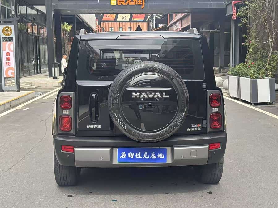 Haval Raptor New Energy 2023 car image #8