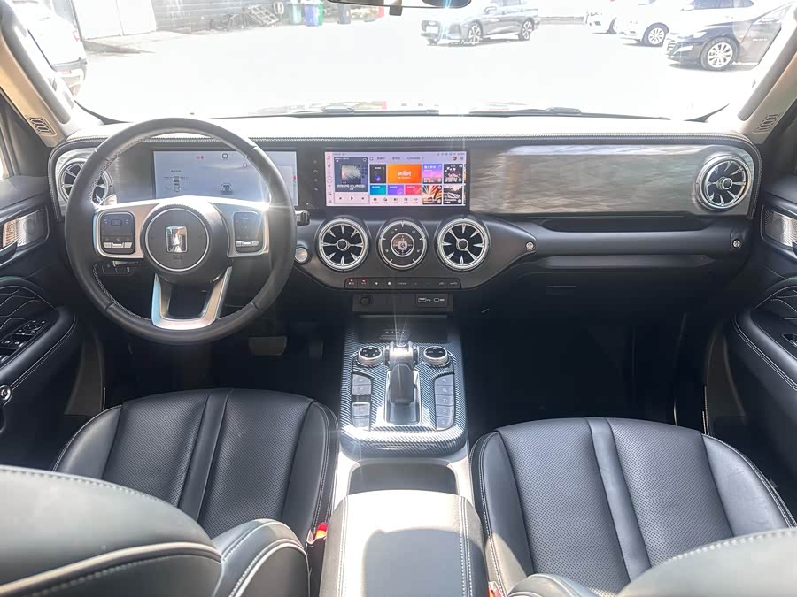 Tank 300 New Energy 2024 car image #8