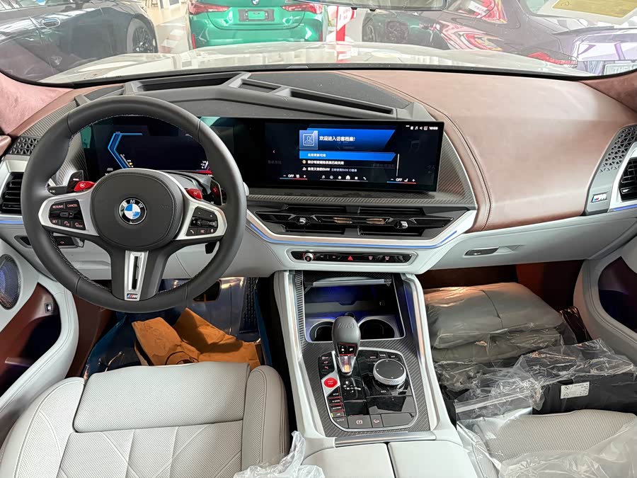 BMW XM صورة سيارة #8